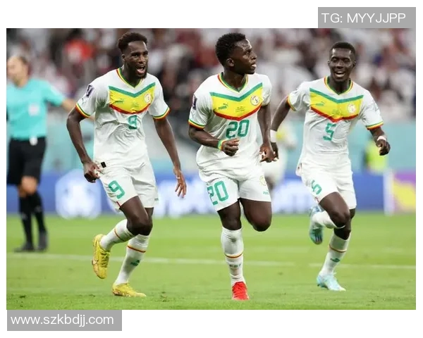 南非与塞内加尔激战正酣谁将赢得这场非洲足球盛宴 南非与塞内加尔激战正酣谁将赢得这场非洲足球盛宴