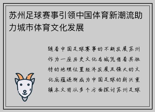 苏州足球赛事引领中国体育新潮流助力城市体育文化发展