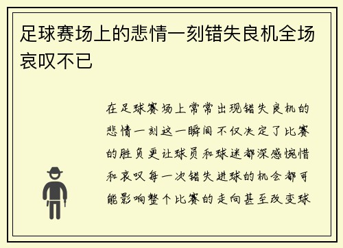 足球赛场上的悲情一刻错失良机全场哀叹不已