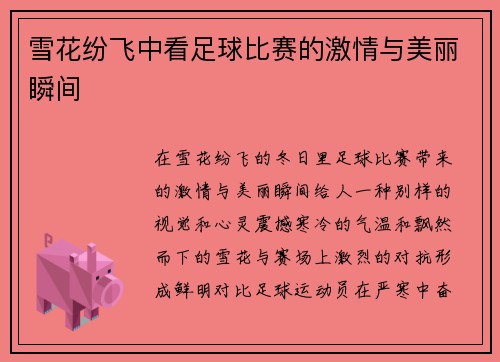 雪花纷飞中看足球比赛的激情与美丽瞬间