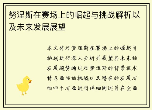 努涅斯在赛场上的崛起与挑战解析以及未来发展展望