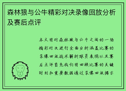 森林狼与公牛精彩对决录像回放分析及赛后点评
