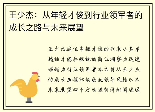 王少杰：从年轻才俊到行业领军者的成长之路与未来展望