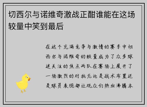 切西尔与诺维奇激战正酣谁能在这场较量中笑到最后